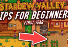 Stardew Valley Tips