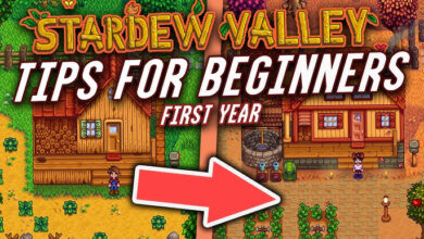 Stardew Valley Tips